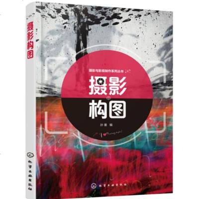 摄影与影视制作系列丛书 摄影构图 孙寰 摄影书籍入教材 摄影轻松入一本就够 单反拍照摄影教程 风光人像摄影构_551