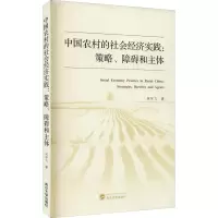 中国农村的社会经济实践:策略、障碍和主体
