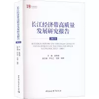 长江经济带高质量发展研究报告 2021