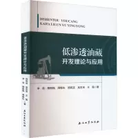 低渗透油藏开发理论与应用