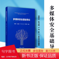 多媒体安全基础导论 钱振兴 复旦大学出版社 隐者联盟丛书 多媒体技术安全