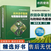 农田杂草鉴别与防除彩色图解 现代植保新技术图解 农田杂草识别 杂草田间管理农田农作物杂草种类分辨杂草防治除技术书籍