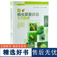 梨病虫草害诊治生态图谱 0238 冯玉增 陈宏义 徐玉杰 梨病害虫害诊断与防治 果园主要杂草识别与防治 果园工具书 中国