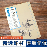 十竹斋书画谱 竹谱 国画绘画技法 基础入门教材教程 临摹范本 国画教材临摹技法 名家作品集珍藏 双面印刷 安徽美术出版社