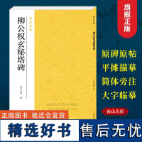 柳公权玄秘塔碑 柳体楷书代表作碑帖全貌+高清原碑帖+精选彩色放大版毛笔书法字帖楷书初学者入门临摹基础教程 碑帖名品南山法