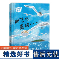 珍稀动物在中国:起飞吧,燕鸥小一珍稀物种中华凤头燕鸥的科普绘本 珍惜动物儿童绘本