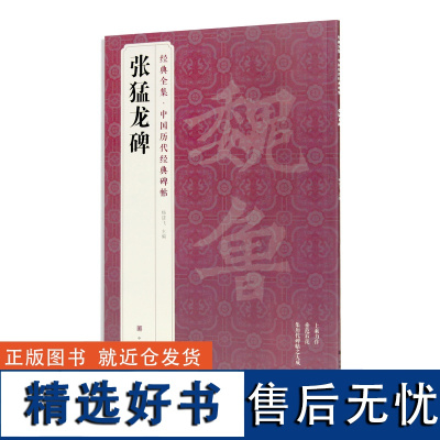 经典全集《张猛龙碑》 中国历代经典碑帖 书法字帖临摹 中国美术学院 正版品牌