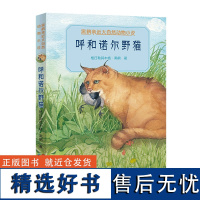 呼和诺尔野猫