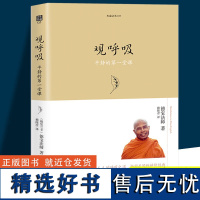 观呼吸 平静的堂课 西方二十年的禅修经典 当代内观大师德宝法师代表作 适合人人的呼吸之道 禅修 海南出版社