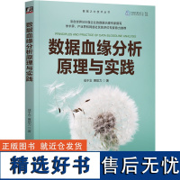 数据血缘分析原理与实践 成于念赛助力 数据治理数据血缘原理本质建设方法核心技术主流工具企业行业数据资产