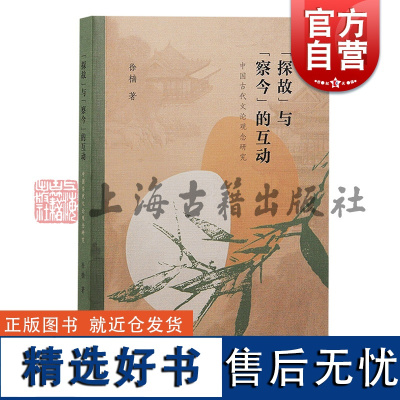 探故与察今的互动:中国古代文论观念研究 徐楠著上海古籍出版社古代文学理论研究古代文论观念文学批评