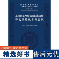 准噶尔盆地砂砾岩致密油藏开发理论技术与实践