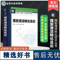 煤炭清洁转化技术丛书 煤炭清洁转化总论 煤炭高效清洁转化 现代煤化工 煤炭反应性 煤炭清洁转化技术图景 现代煤化工入门指