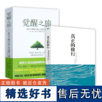 [2册]真正的修行+觉醒之旅 阿迪亚香提马克尼波的禅悟感受当下的正念此刻是一枝花禅修冥想书籍何为活出生命的意义365天