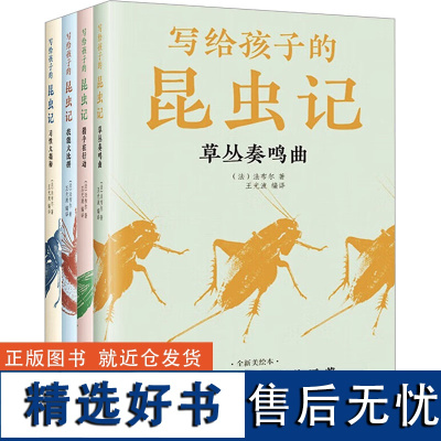 写给孩子的昆虫记 全新美绘本(全4册) (法)法布尔 著 王光波 编 科普百科少儿 正版图书籍 江西美术出版社