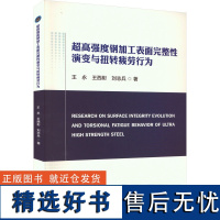 超高强度钢加工表面完整性演变与扭转疲劳行为 王永,王西彬,刘志兵 著 工业技术其它专业科技 正版图书籍