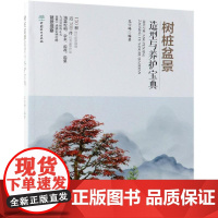 树桩盆景造型与养护宝典 兑宝峰 著 养花书籍专业科技 正版图书籍 中国林业出版社