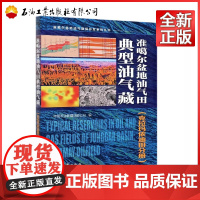 准噶尔盆地油气田典型油气藏(克拉玛依油田分册)准噶尔盆地油气勘探开发系列丛书