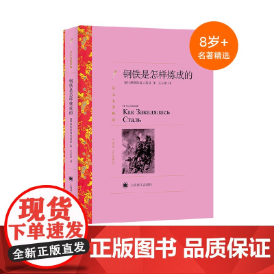 钢铁是怎样炼成的 8岁+中小学生必读 人的一生应该这样度过 外国名著经典读物 上海译文出版社正版书籍