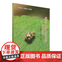 东莞市大岭山森林公园昆虫图鉴/绿美东莞品质林业系列书籍 2350