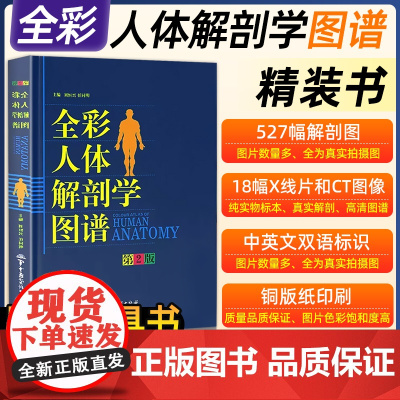 人体解剖彩色学图谱书籍全彩正常肌骨功能系解系统解刨人体结构造医学影像肌肉模型教材军事医学中英文标识图书图册教材书人卫