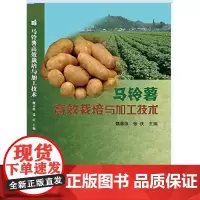 马铃薯高效栽培与加工技术马铃薯种植技术大全书种马铃薯书 马铃薯选种选育种植模式技术要点 马铃薯机械化作业病虫草害防治指导