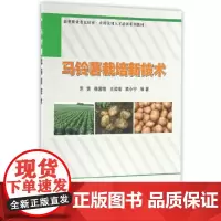 马铃薯栽培新技术杨国恒编马铃薯栽培新技术马铃薯病虫害防治技术马铃薯施肥原理及技术马铃薯高产高效生产技术全书马铃薯种植书籍