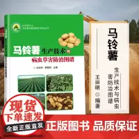 正版马铃薯生产技术与病虫草害防治图谱王田明编马铃薯虫害防治方法马铃薯种植生产技术马铃薯病虫害图谱与防治百科马铃薯种植书籍