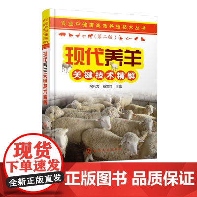 专业户健康高效养殖技术丛书 现代养羊关键技术精解 繁育技术 营养需要及饲料 肉羊绵羊饲养管理 常见病防治 科学牛羊养殖