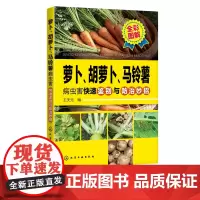 萝卜 胡萝卜 马铃薯病虫害快速鉴别与防治妙招 胡萝卜 马铃薯 病虫害 病害 虫害 防治 图鉴 农林院校蔬菜及相关专业师生