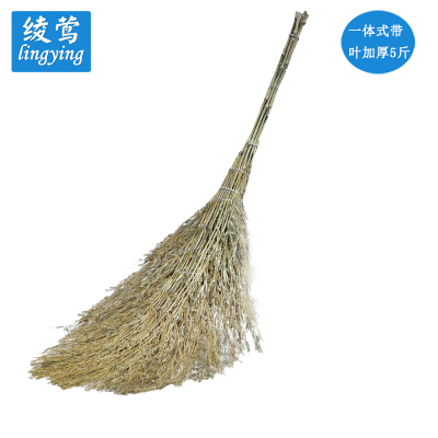 绫莺大扫把加厚款5斤LY-YH601/把