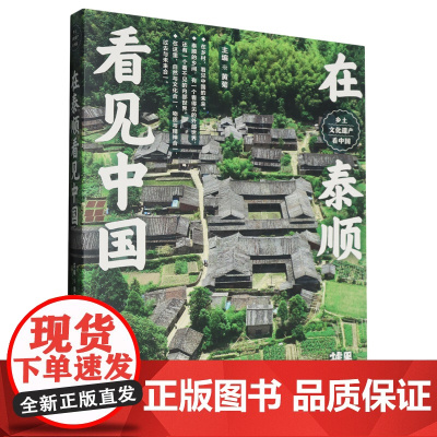 [正版]在泰顺看见中国/乡土文化遗产看中国 黄菊 上海人民美术出版社 9787558630057