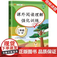 2025小学二年级阅读理解专项训练书上下册人教版课外阅读强化训练题语文 2上册下册课本同步练习册看图说话写话作文每日一练