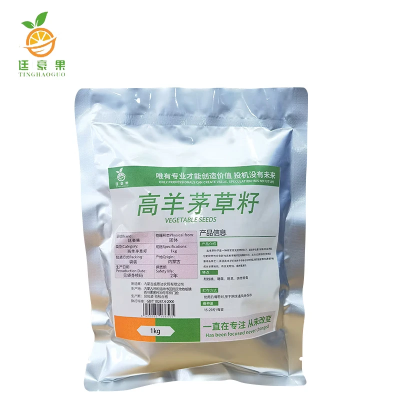 廷豪果 高羊茅草籽 绿化草坪种子 1kg kg