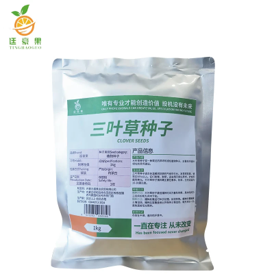 三叶草种子 幸运草花种子 红三叶白三叶种籽净籽 1kg/袋