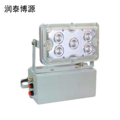 润泰博源 RT292J LED 应急照明灯 (计价单位:盏) 灰色