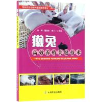 [M]獭兔高效养殖关键技术-9787109248533