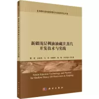[M]新疆浅层稠油油藏注蒸汽开发技术与实践-9787030580399