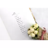 [M]毛姆短篇小说集-9787559408884