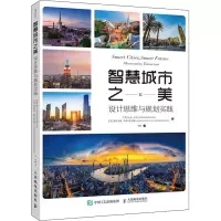 [M]智慧城市之美 设计思维与规划实践-9787115531452