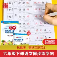 [M]小学生写字课课练 6年级 下 人教版-9787313219459