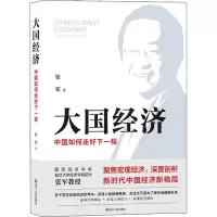 [M]大国经济 中国如何走好下一程-9787213106774