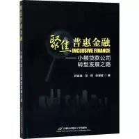 [M]聚焦普惠金融——小额贷款公司转型发展之路-9787563828043