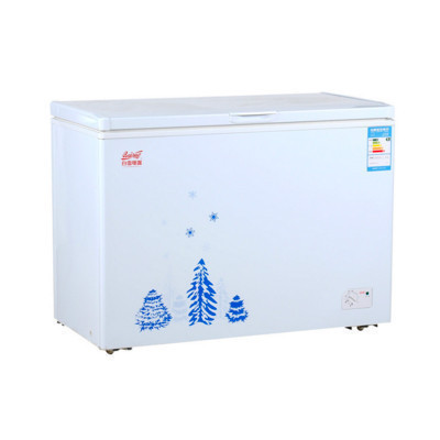 白雪(Baixue)BD/C-267DS 267升冷藏冷冻转换型冰柜 家用商用大冷柜 节能大冰柜 顶开门 家