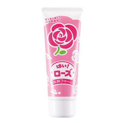 洗面奶 诗留美屋ROSETTE PASTE 迷迭香滋润泡沫洁面膏 洗面奶/洁面乳 保湿补水;滋润营养 通用各种肤质