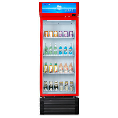 星星(XINGX) 400升展示柜 立式冰柜 保鲜柜 饮料柜 商用 双层玻璃更锁冷 饮品展示更直观 LSC-400E