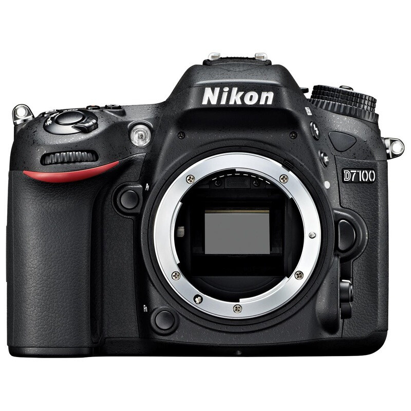 尼康(Nikon) 单反相机 D7100 机身+AF-P DX 18-55mm f/3.5-5.6G 广角镜头