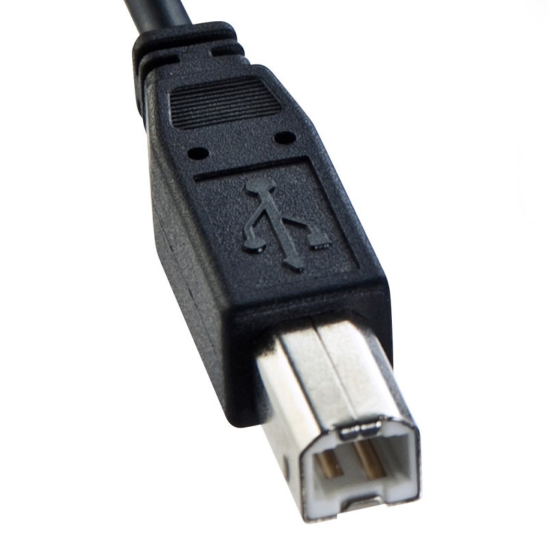 山业(SANWA SUPPLY) 5米 双面USB连接线 KU-R5(单位:根)