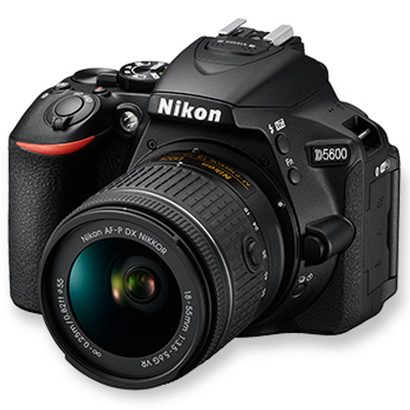 尼康(Nikon) 相机(闪迪64G极速卡 包 保护镜 三脚架 清洁套装 金刚膜 电池) D810+24-120(台)