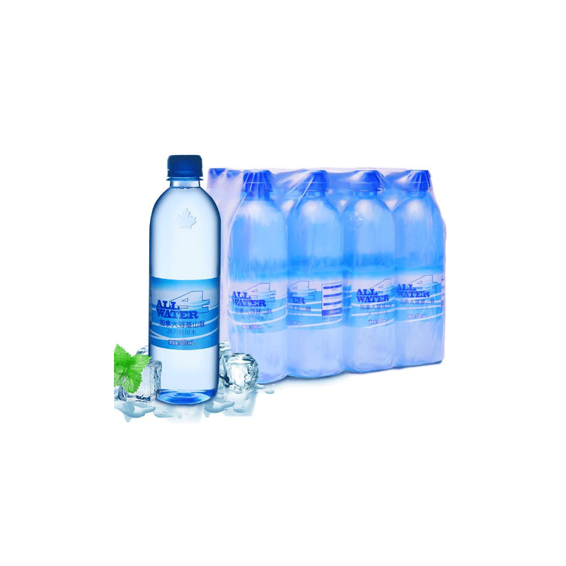 ALL 4 WARET 加拿大原装进口落基山脉天然冰川饮用水500ML*12瓶